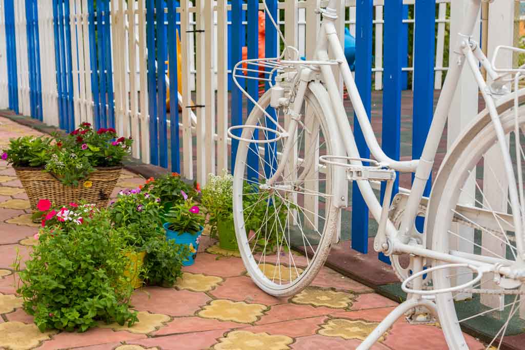 8 Ways to Disguise an Ugly Fence The Amateurs Digest