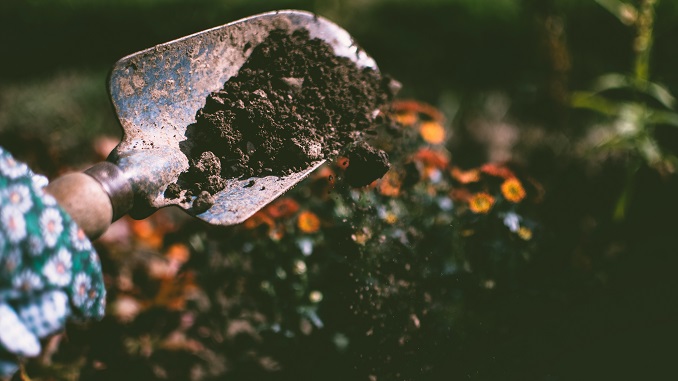 5 Tips To Keep The Soil Healthy Within Your Landscaped Garden